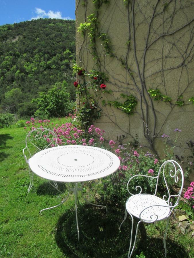 Bed and Breakfast La Ferme de la Condamine Saint-André-de-Rosans Exterior foto